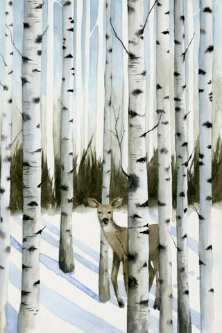 Deer in Snowfall II White Modern Wood Framed Art Print with Double Matting by Popp, Grace