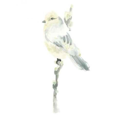 Avian Impressions I Gold Ornate Wood Framed Art Print with Double Matting by Vess, June Erica