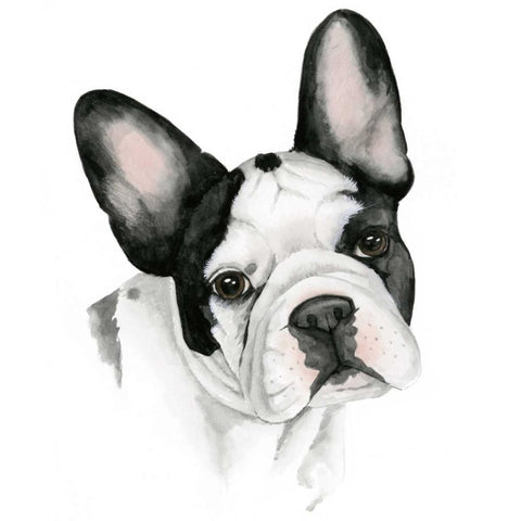 Humans Best Friend IV White Modern Wood Framed Art Print by Popp, Grace