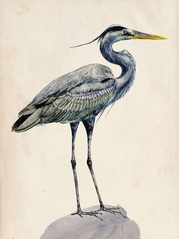Blue Heron Rendering I White Modern Wood Framed Art Print with Double Matting by Wang, Melissa