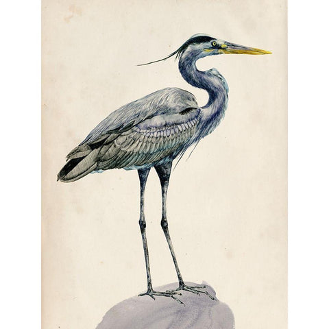 Blue Heron Rendering I Gold Ornate Wood Framed Art Print with Double Matting by Wang, Melissa