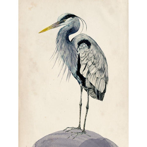 Blue Heron Rendering II Gold Ornate Wood Framed Art Print with Double Matting by Wang, Melissa