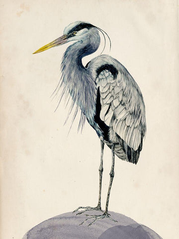 Blue Heron Rendering II White Modern Wood Framed Art Print with Double Matting by Wang, Melissa