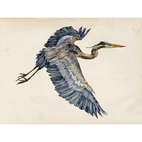 Blue Heron Rendering IV Black Modern Wood Framed Art Print with Double Matting by Wang, Melissa