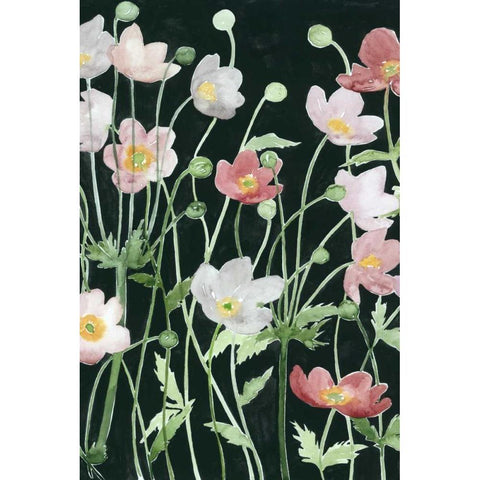 Anemone Dance I Black Modern Wood Framed Art Print with Double Matting by Popp, Grace