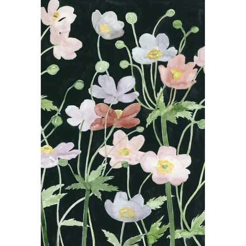 Anemone Dance II Black Modern Wood Framed Art Print with Double Matting by Popp, Grace