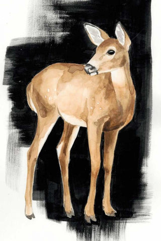 Nocturnal II Black Ornate Wood Framed Art Print with Double Matting by Popp, Grace