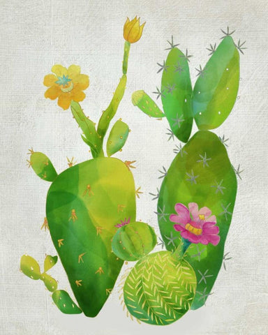 Cacti Collection II White Modern Wood Framed Art Print with Double Matting by Zarris, Chariklia
