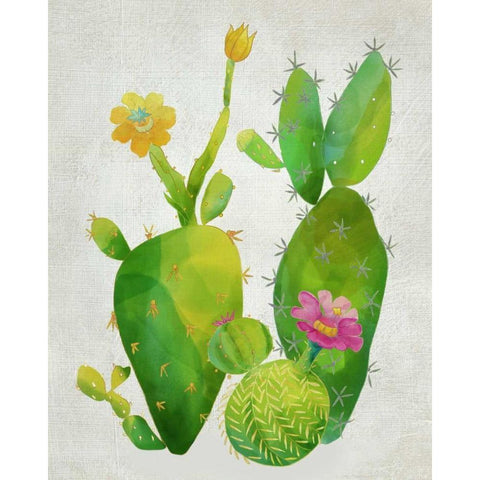 Cacti Collection II Black Modern Wood Framed Art Print with Double Matting by Zarris, Chariklia