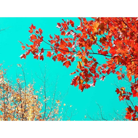 Autumn Tapestry I Black Modern Wood Framed Art Print by Stalus, Judy