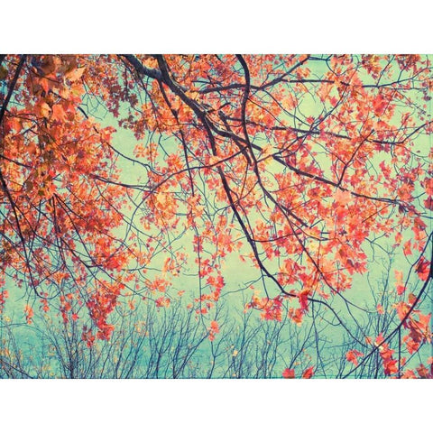 Autumn Tapestry II White Modern Wood Framed Art Print by Stalus, Judy