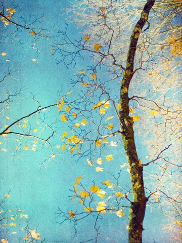 Autumn Tapestry III White Modern Wood Framed Art Print with Double Matting by Stalus, Judy