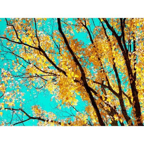 Autumn Tapestry IV White Modern Wood Framed Art Print by Stalus, Judy