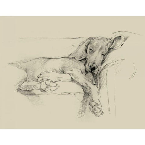 Dog Days I Black Modern Wood Framed Art Print by Harper, Ethan