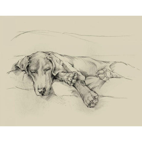 Dog Days II Black Modern Wood Framed Art Print by Harper, Ethan