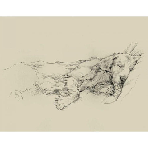 Dog Days III Black Modern Wood Framed Art Print by Harper, Ethan