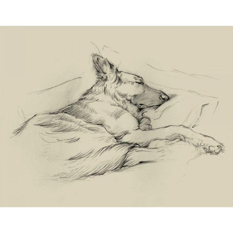 Dog Days IV Black Modern Wood Framed Art Print by Harper, Ethan