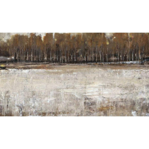 Neutral Reflection I Black Modern Wood Framed Art Print with Double Matting by OToole, Tim