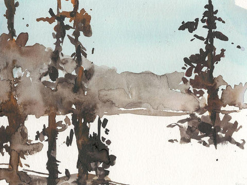 Woodland Sketch III Black Ornate Wood Framed Art Print with Double Matting by Dixon, Samuel