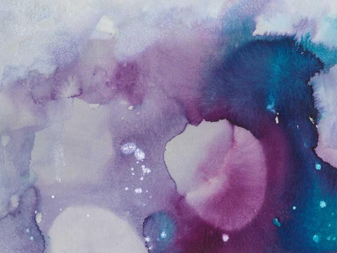 Ice Crystals III Black Ornate Wood Framed Art Print with Double Matting by Combs, Joyce