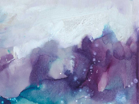 Ice Crystals IV Black Ornate Wood Framed Art Print with Double Matting by Combs, Joyce