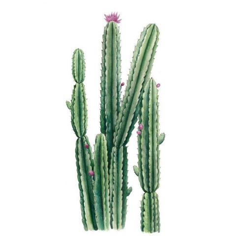 Desert Blooms II Black Modern Wood Framed Art Print by Popp, Grace