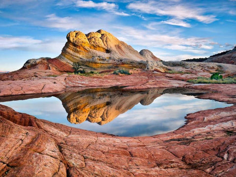 Arizona Reflection II White Modern Wood Framed Art Print with Double Matting by Drost, David