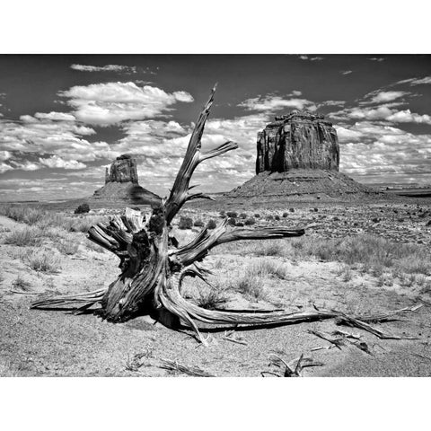 BandW Desert View V Black Modern Wood Framed Art Print with Double Matting by Drost, David