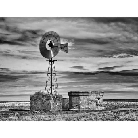 BandW Desert View VI White Modern Wood Framed Art Print by Drost, David