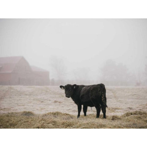 Farm Study II White Modern Wood Framed Art Print by Mead, Adam