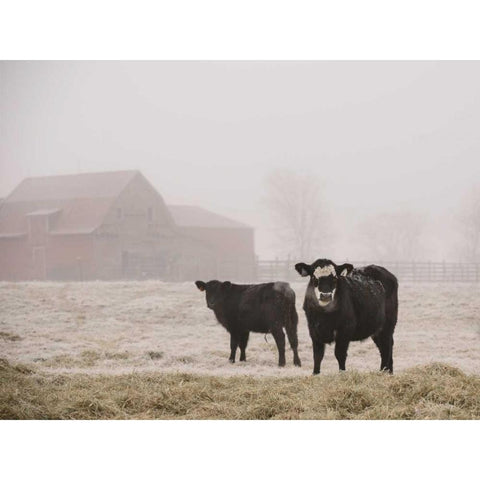 Farm Study III White Modern Wood Framed Art Print by Mead, Adam