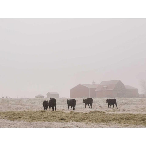 Farm Study IV Black Modern Wood Framed Art Print by Mead, Adam