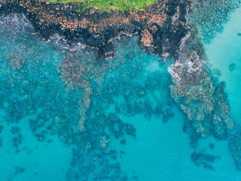 Hawaii View IV Black Ornate Wood Framed Art Print with Double Matting by Mead, Adam