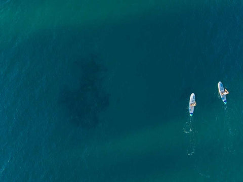 Hawaii View V Black Ornate Wood Framed Art Print with Double Matting by Mead, Adam