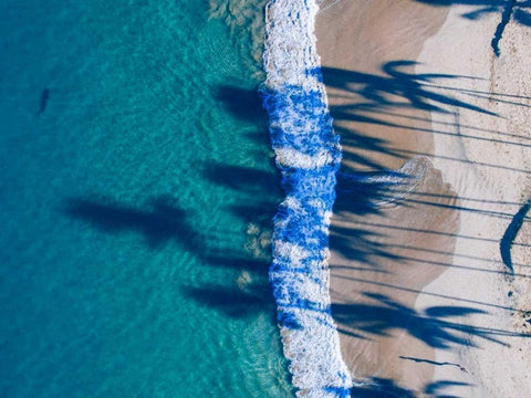 Hawaii View VI Black Ornate Wood Framed Art Print with Double Matting by Mead, Adam