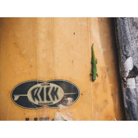 Hawaii View IX Black Modern Wood Framed Art Print with Double Matting by Mead, Adam