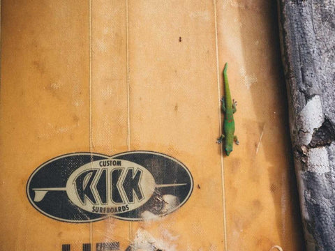 Hawaii View IX White Modern Wood Framed Art Print with Double Matting by Mead, Adam