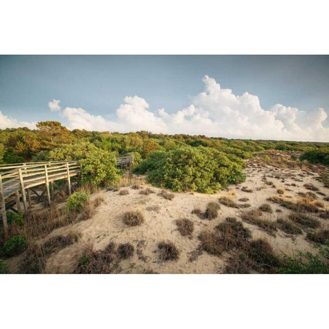 First Landing Dunes I Black Modern Wood Framed Art Print by Mead, Adam