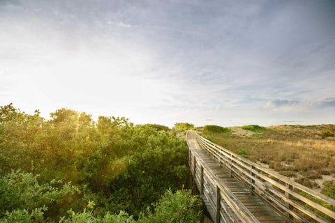 First Landing Dunes II Black Ornate Wood Framed Art Print with Double Matting by Mead, Adam