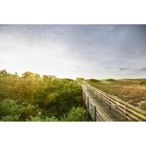 First Landing Dunes II Black Modern Wood Framed Art Print by Mead, Adam