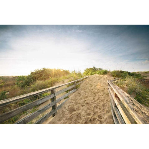 First Landing Dunes III Black Modern Wood Framed Art Print by Mead, Adam