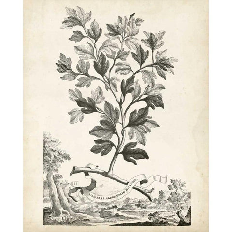 Scenic Botanical V Gold Ornate Wood Framed Art Print with Double Matting by Munting, Abraham