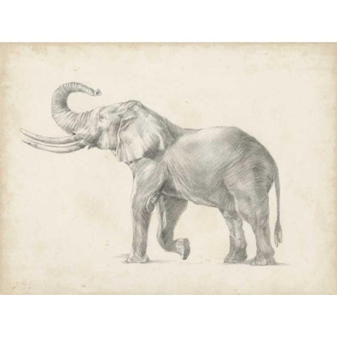 Elephant Sketch I Black Modern Wood Framed Art Print with Double Matting by Harper, Ethan