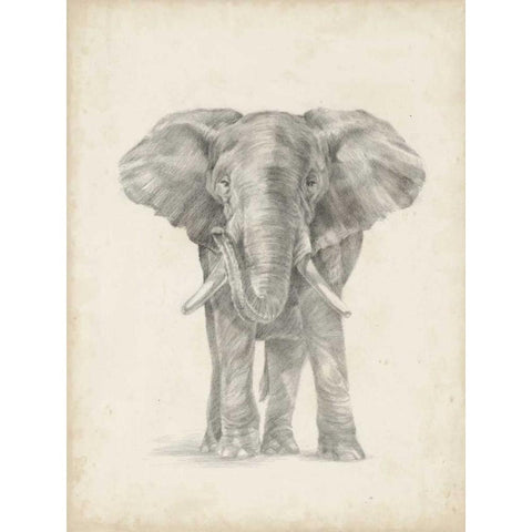 Elephant Sketch II White Modern Wood Framed Art Print by Harper, Ethan