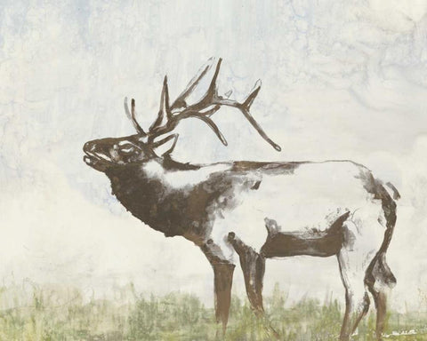 Wild Call I Black Ornate Wood Framed Art Print with Double Matting by Goldberger, Jennifer