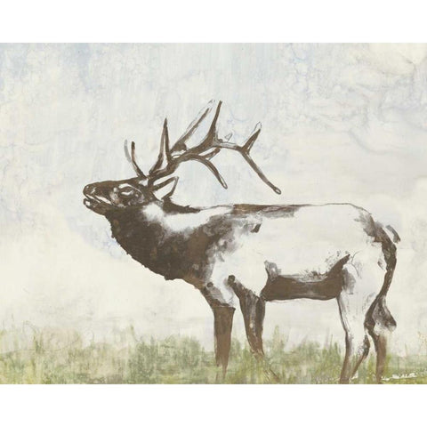 Wild Call I Black Modern Wood Framed Art Print with Double Matting by Goldberger, Jennifer