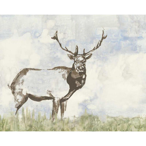 Wild Call II White Modern Wood Framed Art Print by Goldberger, Jennifer