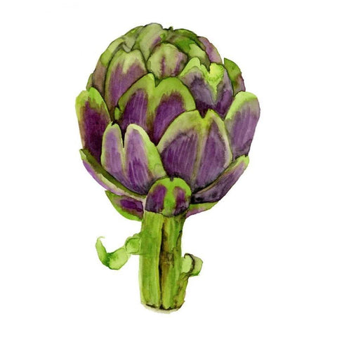 Watercolor Veggie I Black Modern Wood Framed Art Print by McCavitt, Naomi