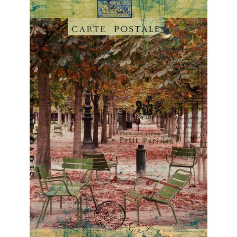 Collected Autumn IV Black Modern Wood Framed Art Print with Double Matting by Lloyd, Sandy