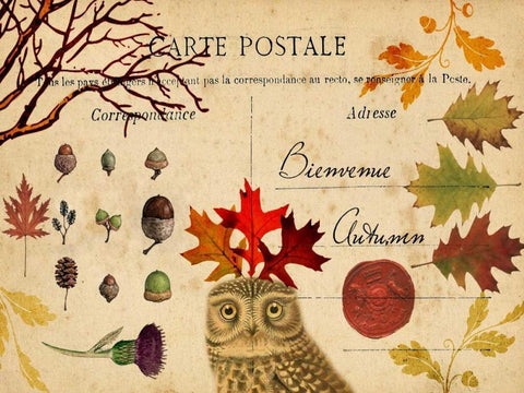 Collected Autumn V White Modern Wood Framed Art Print with Double Matting by Lloyd, Sandy